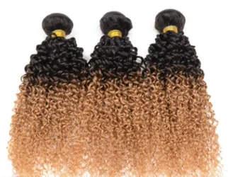 100% Real Human Hair Extensions – Gradient Wig for a Natural & Stylish Look
