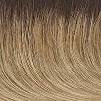 Embrace wig - Raquel Welch