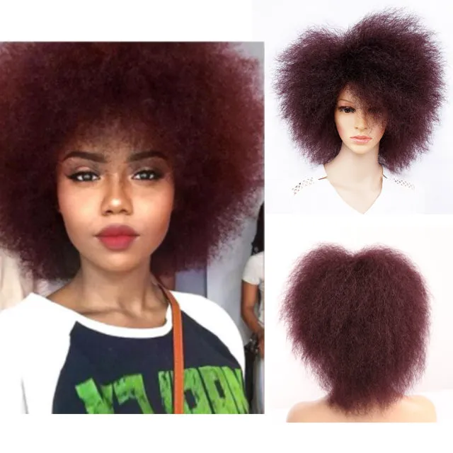 Trendy Kinky Curly Afro Wigs